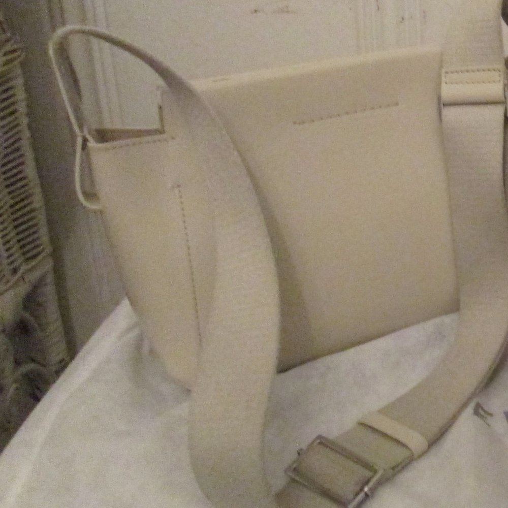 Everlane Mini Form Crossbody Bag New Bone Color